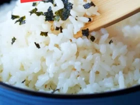 nobu sushi rice recipe