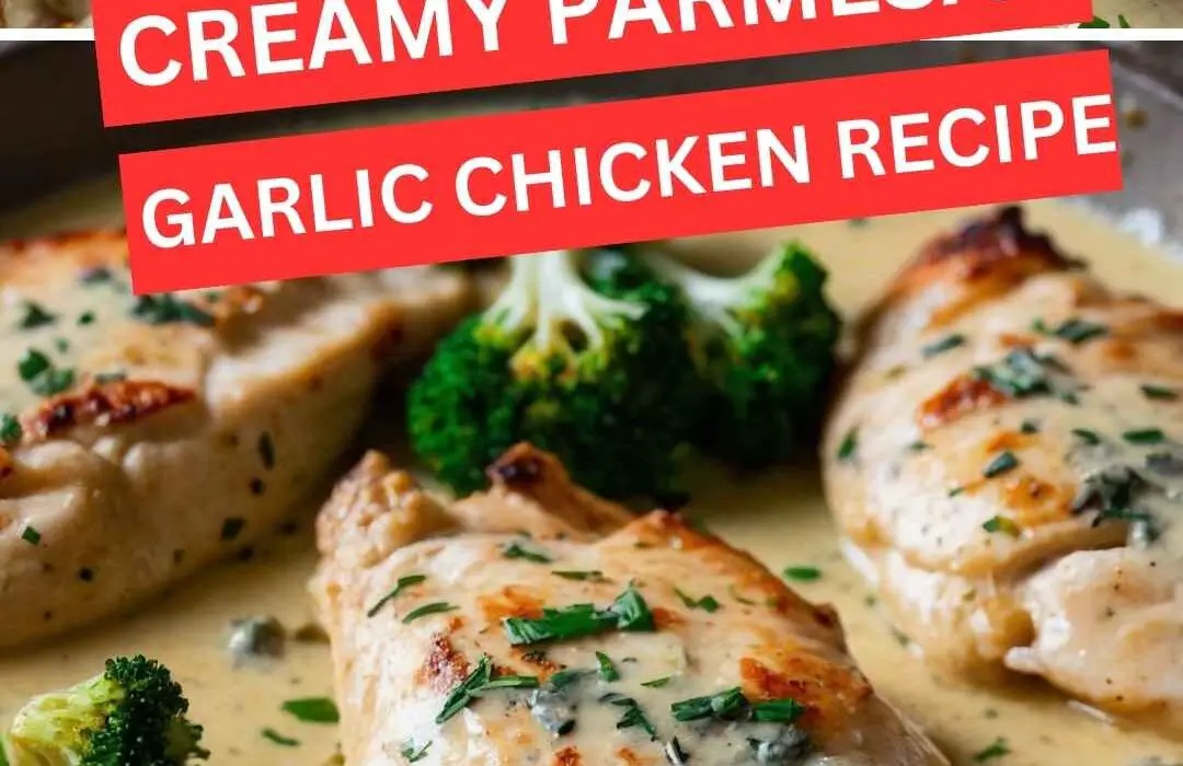 Creamy Parmesan Garlic Chicken Recipe