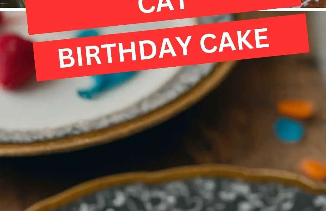 Cat Birthday Cake
