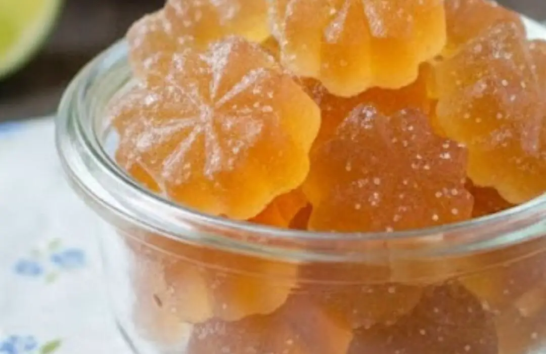 ACV Gummies Recipe