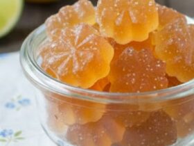 ACV Gummies Recipe