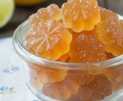 ACV Gummies Recipe